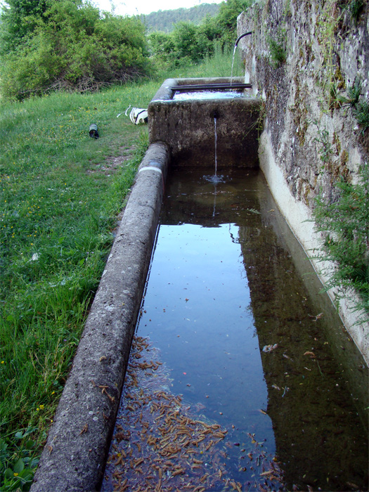 Fontanili dell''Abruzzo